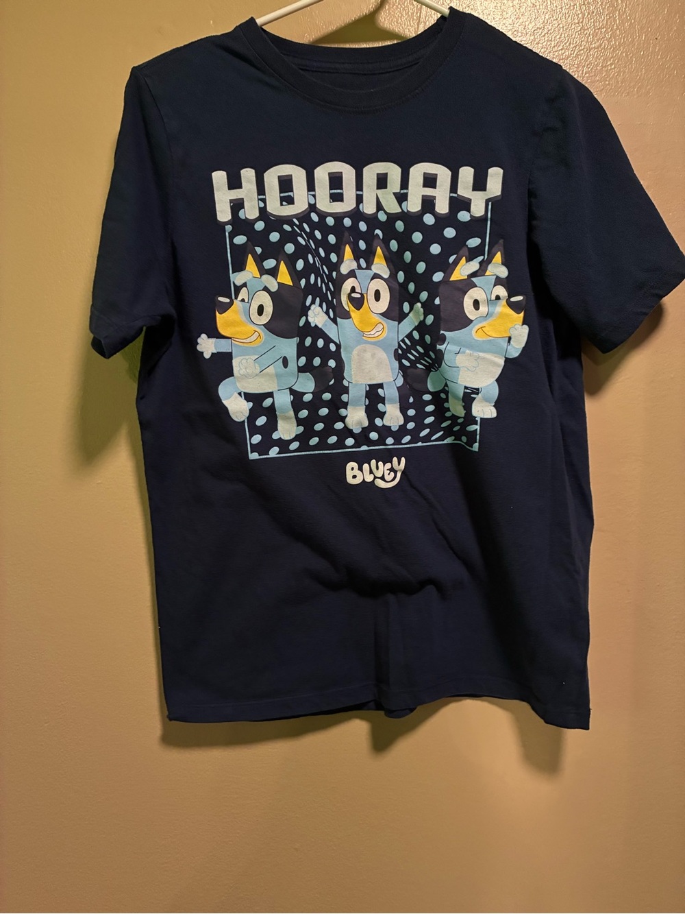 Lucy Navy Blue 'Hooray' Graphic Tee with Bluey Characters